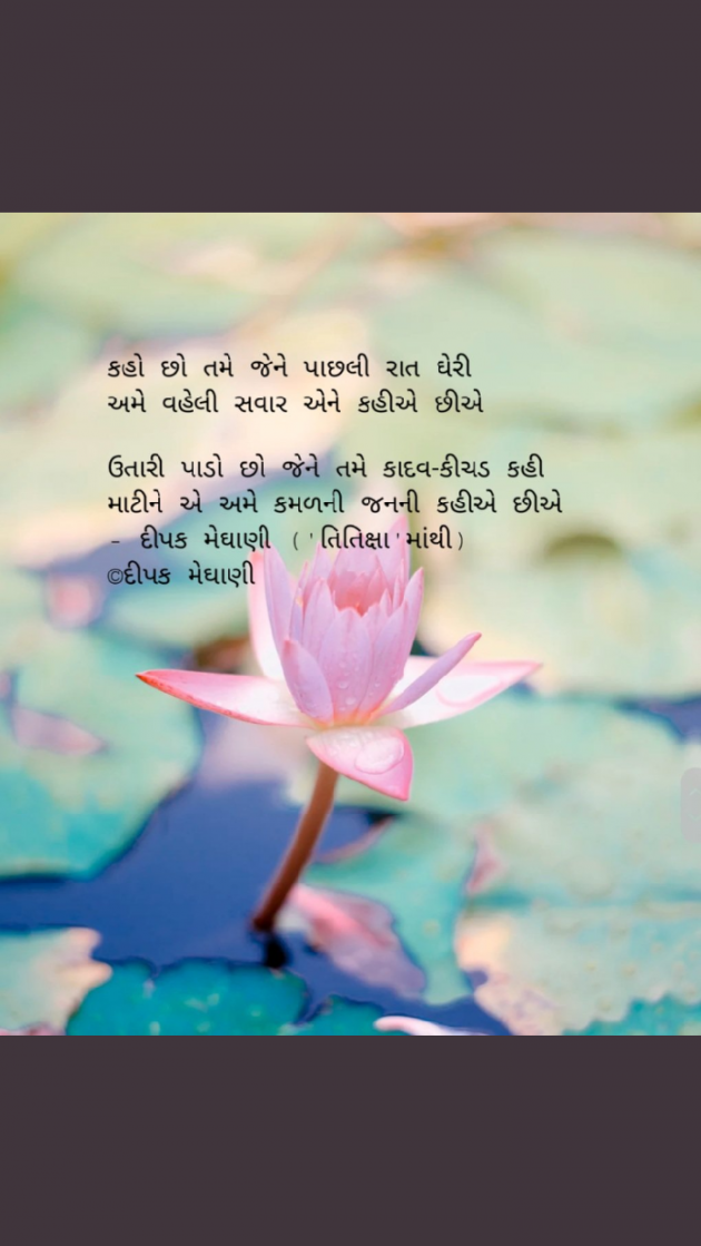 Gujarati Book-Review by Raj Songara : 111486021