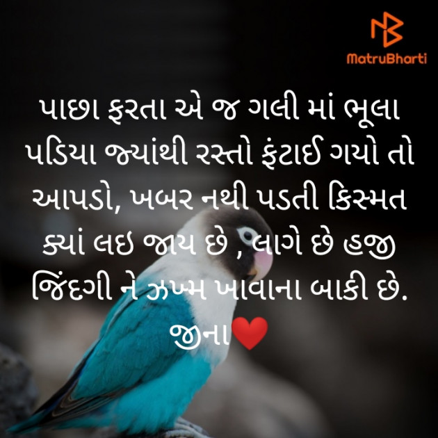 Gujarati Blog by Jina : 111486254