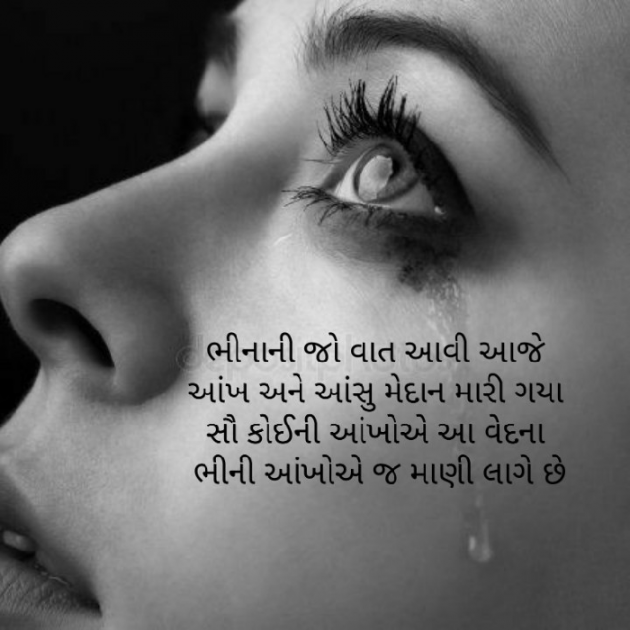 Gujarati Blog by Firdos Bamji : 111487935