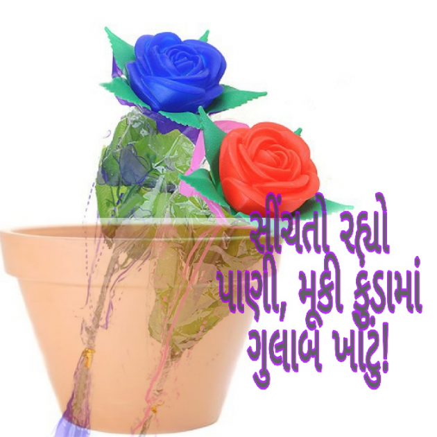 Gujarati Hiku by Ketan Vyas : 111488035