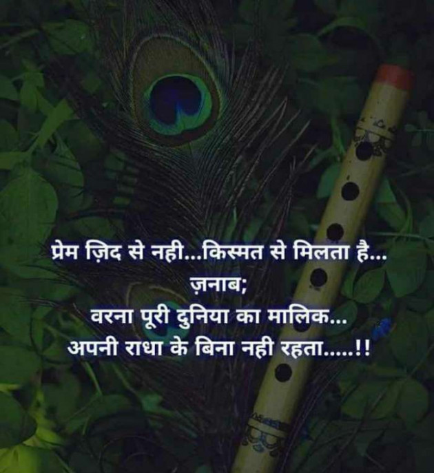 Hindi Thought by Lioness of Gujrat : 111488813