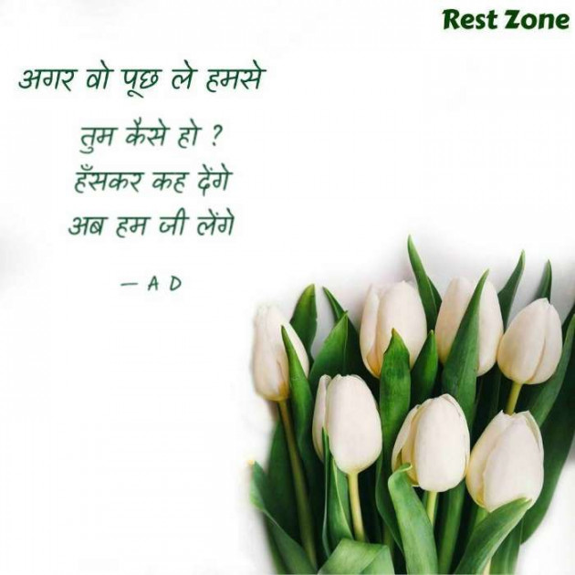 English Shayri by Mir : 111489039