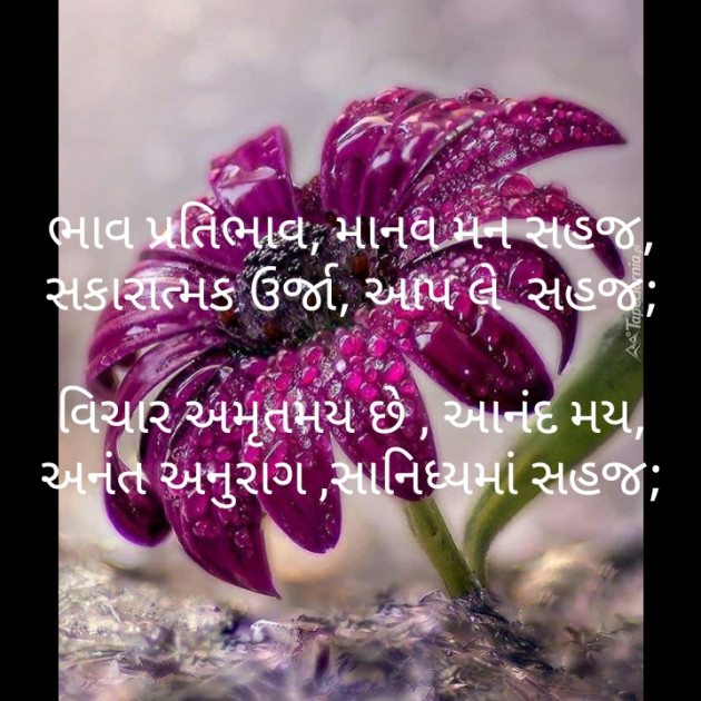 Gujarati Poem by મોહનભાઈ આનંદ : 111489417