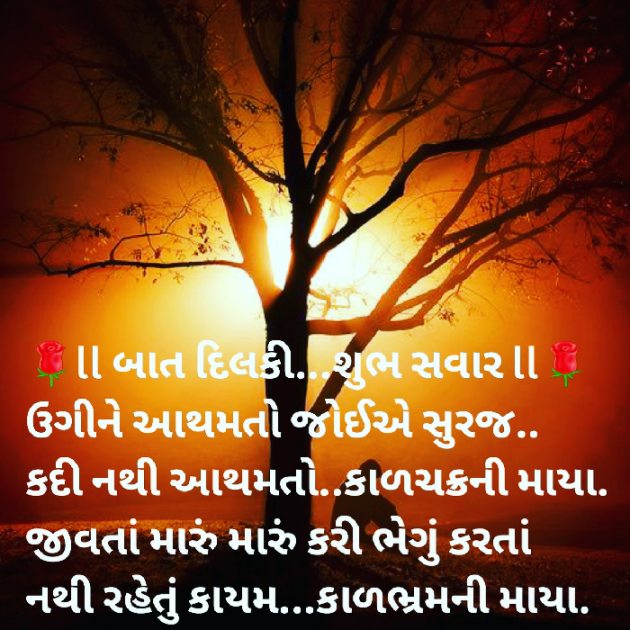 Gujarati Blog by Dakshesh Inamdar : 111489549