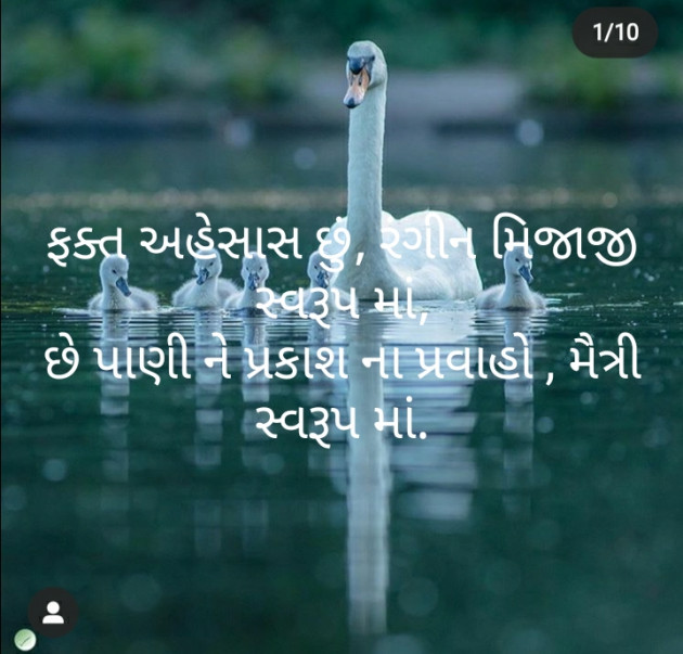 Gujarati Motivational by મોહનભાઈ આનંદ : 111489703