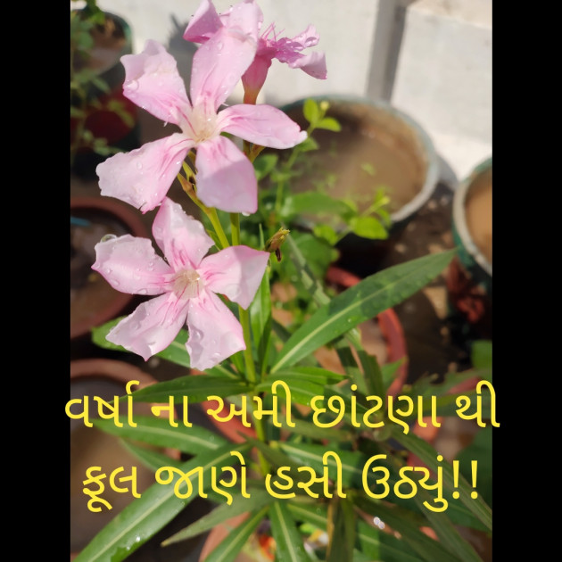 Gujarati Good Morning by કુંજલ : 111490635