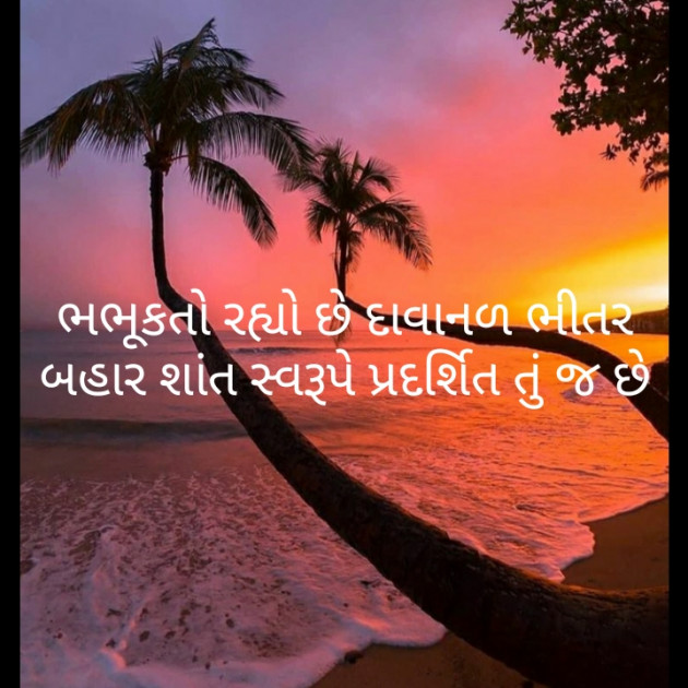 Gujarati Motivational by મોહનભાઈ આનંદ : 111491025