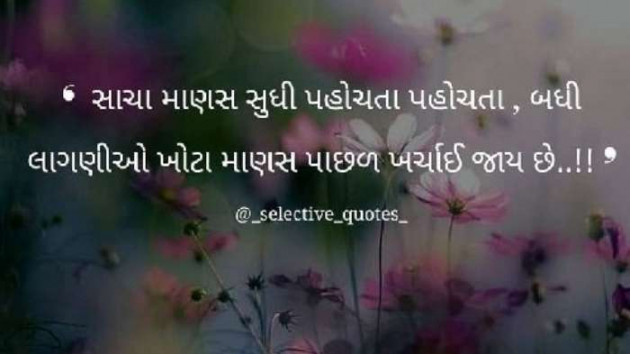English Quotes by Pinu Rajput : 111491103