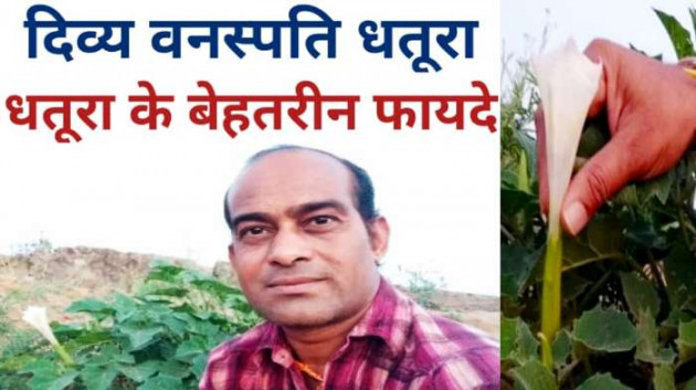 Hindi Thought by Anil Mistry https://www.youtube.com/c/BHRAMGYAN : 111491638