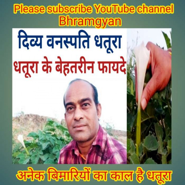 Hindi Thought by Anil Mistry https://www.youtube.com/c/BHRAMGYAN : 111491697