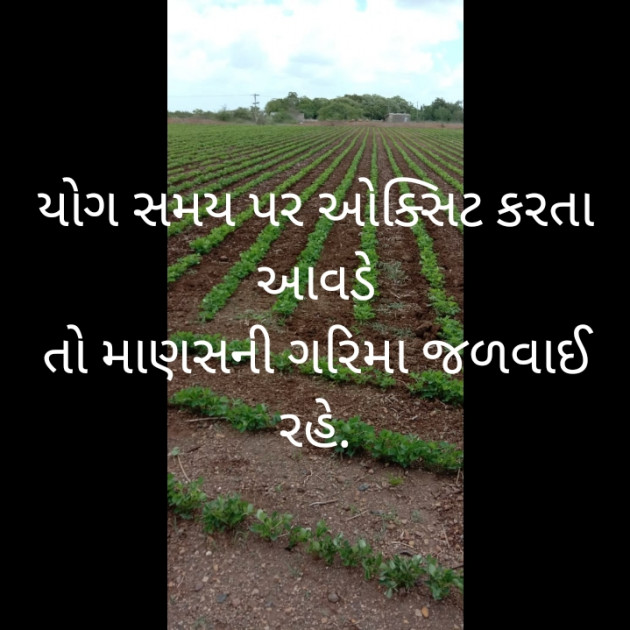 Gujarati Motivational by Ram Gareja : 111492603