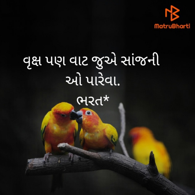 Gujarati Hiku by Bharat : 111492840