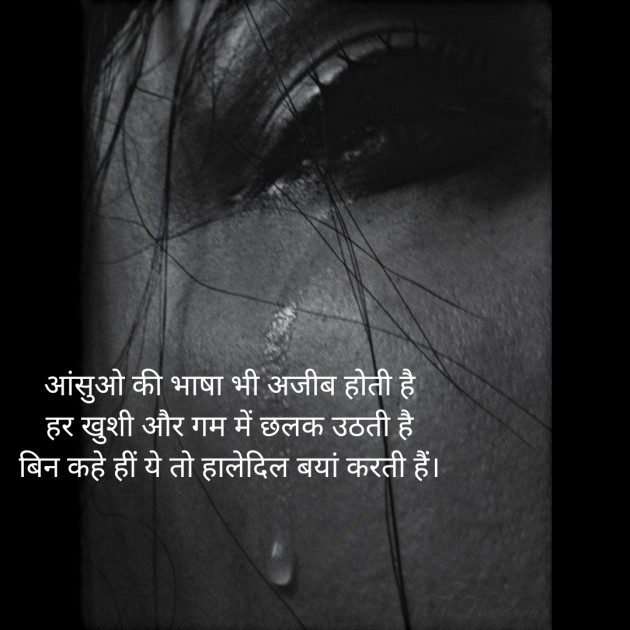 Hindi Whatsapp-Status by Neerja Pandey : 111493278