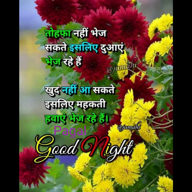 Gujarati Good Night by Manoj Leuva : 111493371