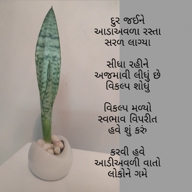 Gujarati Hiku by Firdos Bamji : 111493805