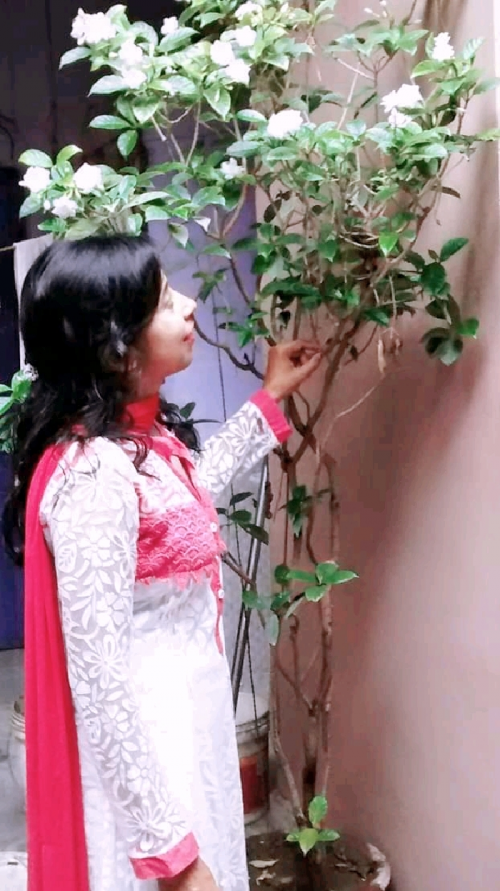 Post by Seema Saxena on 02-Jul-2020 05:30pm