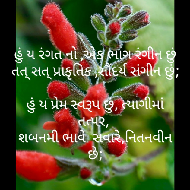 Gujarati Poem by મોહનભાઈ આનંદ : 111495059