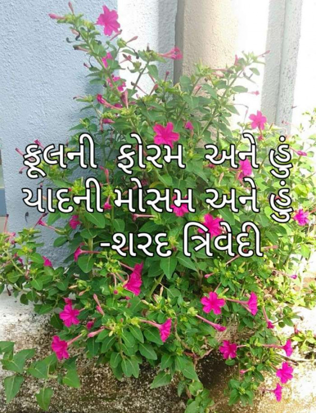 Gujarati Poem by Dr.Sharadkumar K Trivedi : 111495189