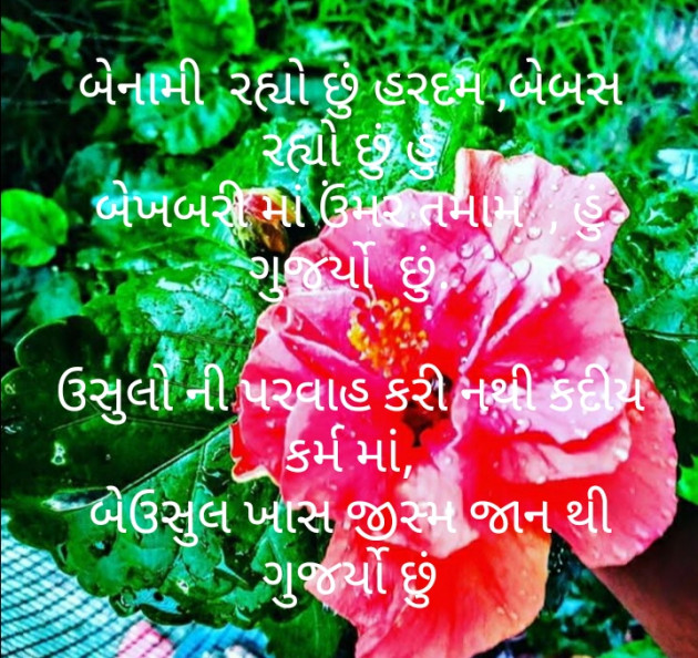 Gujarati Poem by મોહનભાઈ આનંદ : 111495299