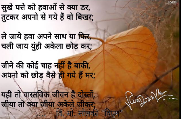 Hindi Poem by વિનોદ. મો. સોલંકી .વ્યોમ. : 111495383