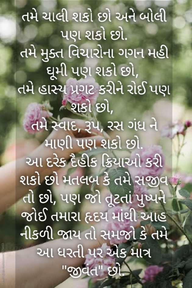 Gujarati Motivational by HEMANT PRAJAPATI : 111495848