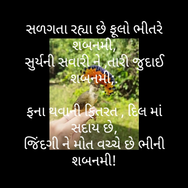 Gujarati Poem by મોહનભાઈ આનંદ : 111496405