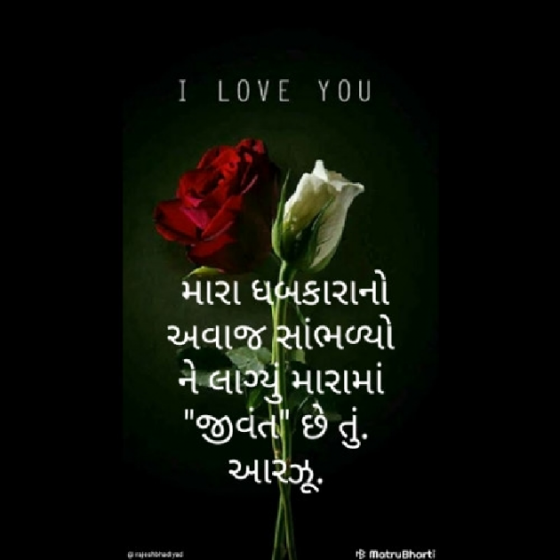 Gujarati Blog by Arzoo baraiya : 111496469