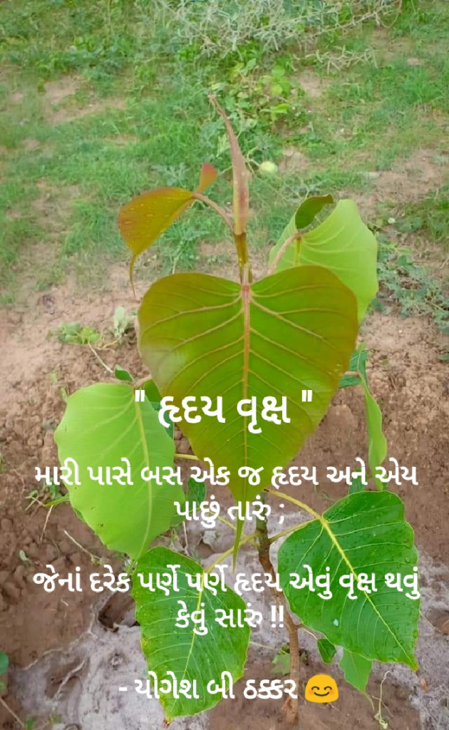 Gujarati Poem by Yogesh DB Thakkar : 111496817