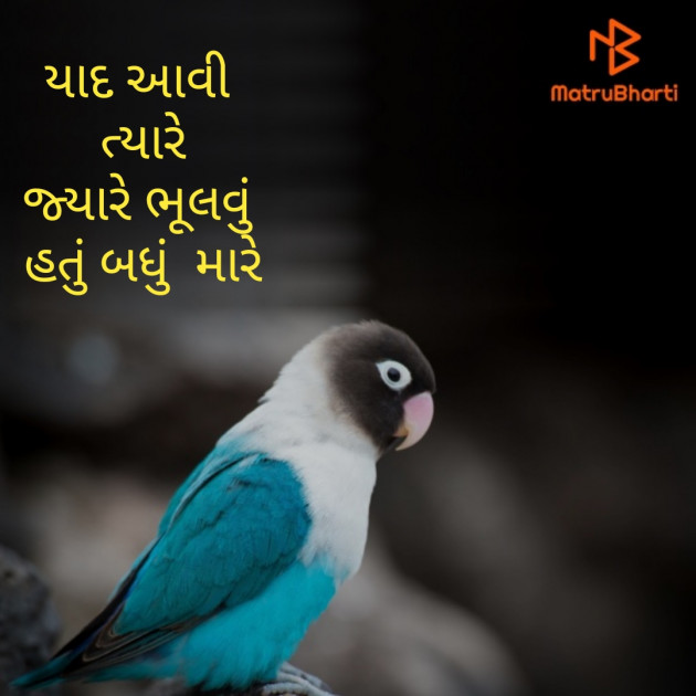 Gujarati Whatsapp-Status by Kina Parmar : 111496853