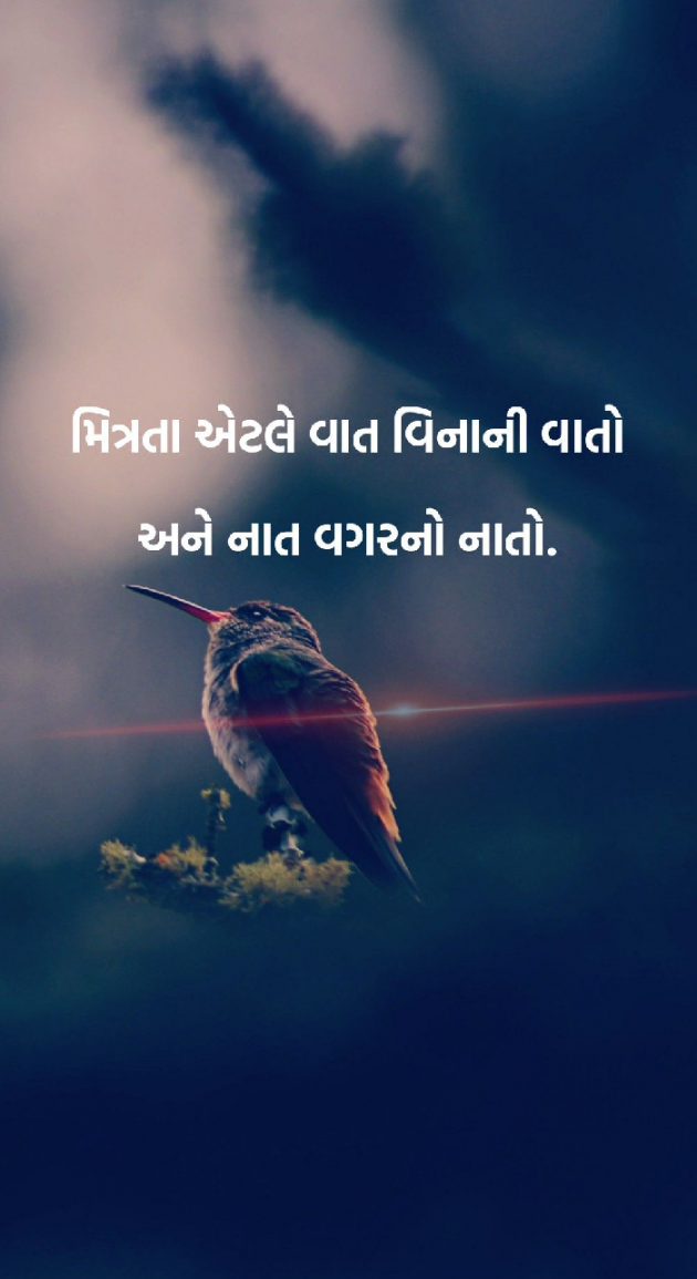 Gujarati Shayri by Pankaj Kakadiya : 111497119