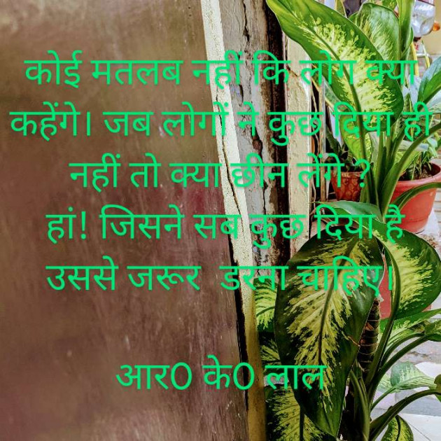 Hindi Quotes by r k lal : 111497880