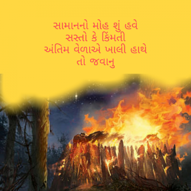 Gujarati Blog by Firdos Bamji : 111498404