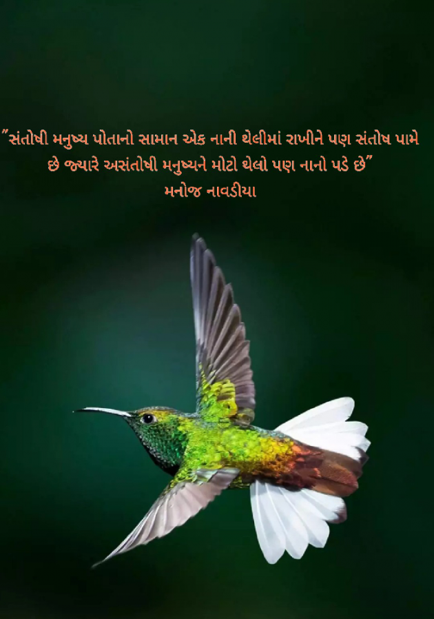 Gujarati Quotes by મનોજ નાવડીયા : 111498449