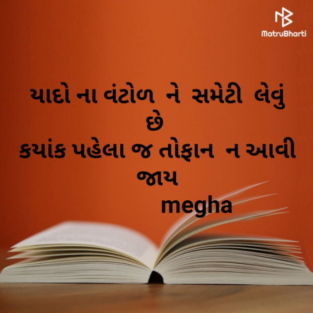 Gujarati Blog by Kothari Megha : 111499025