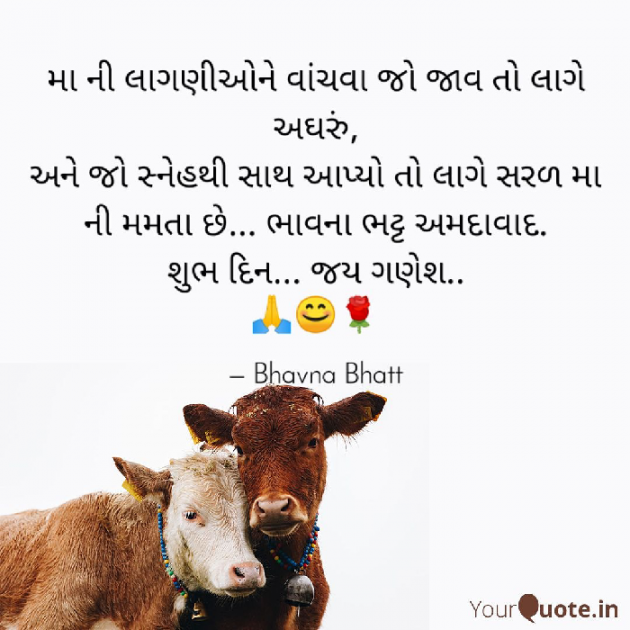 Gujarati Blog by Bhavna Bhatt : 111499608
