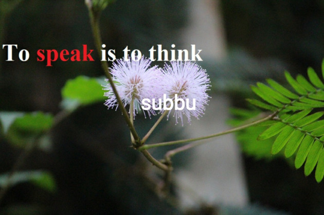 Tamil Quotes by Subbu : 111500587