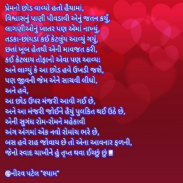 Gujarati Blog by Nirav Patel SHYAM : 111500794