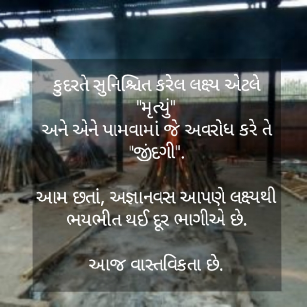 Gujarati Motivational by HEMANT PRAJAPATI : 111501051