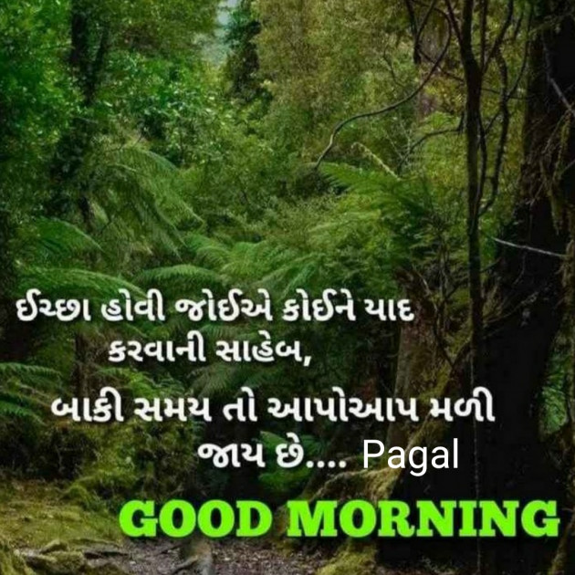 Gujarati Good Morning by Manoj Leuva : 111503057