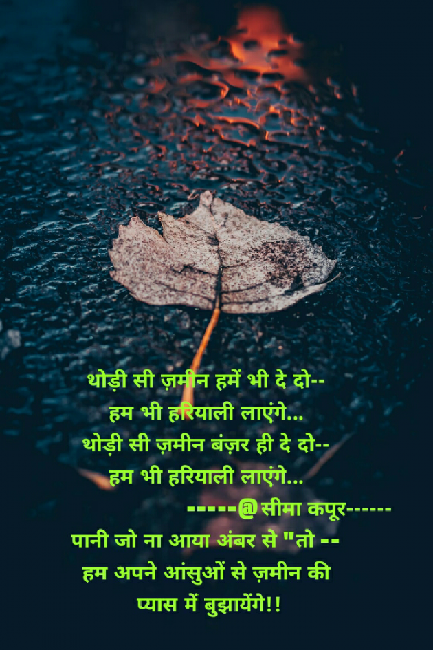 Hindi Poem by सीमा कपूर : 111503473