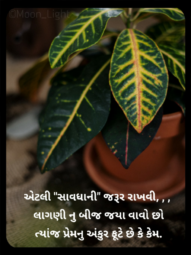 Gujarati Blog by SENTA SARKAR : 111504208