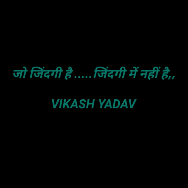 Hindi Tribute by Vikash Yadav : 111504304