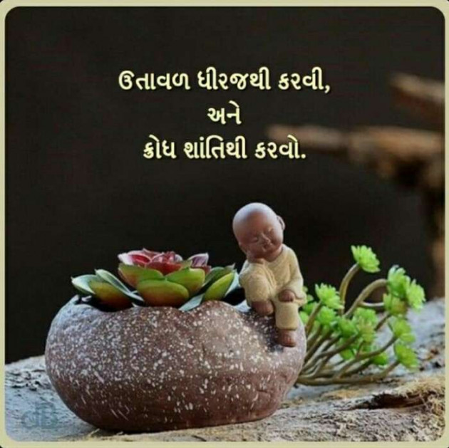 Gujarati Quotes by Sonalpatadia Soni : 111505061