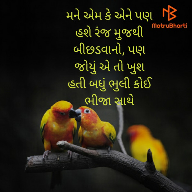 Gujarati Shayri by Hemant Pandya : 111505069