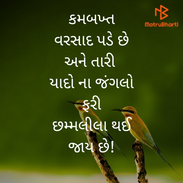 Gujarati Poem by Anil Bhatt : 111505863