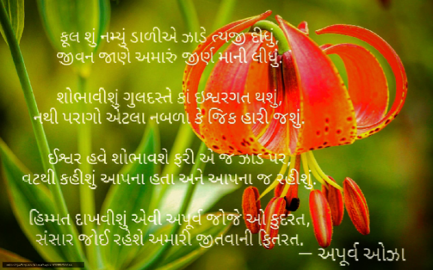 Gujarati Poem by Apurva Oza : 111507296