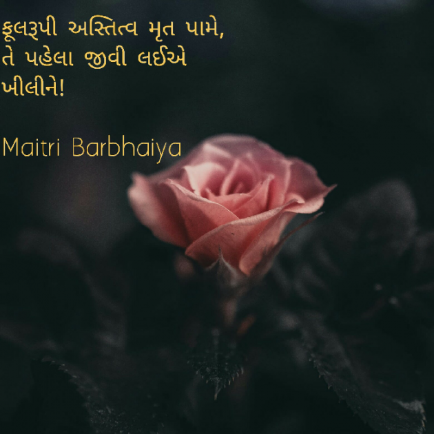 Gujarati Motivational by Maitri Barbhaiya : 111507528