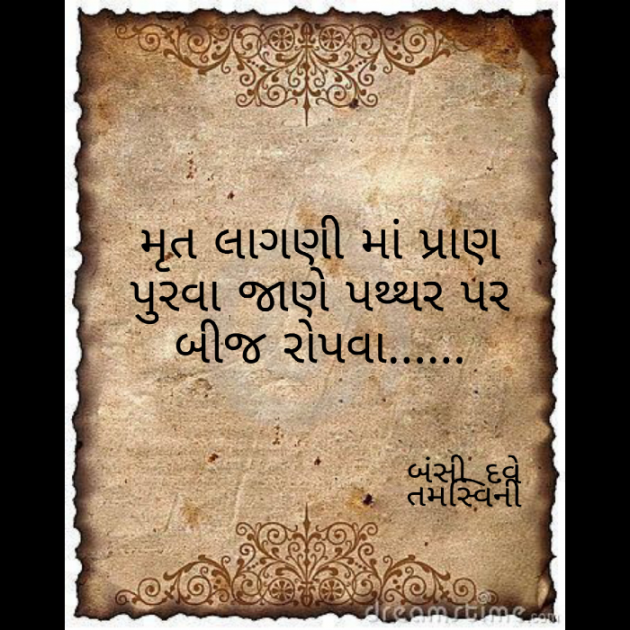 Gujarati Thought by Bansi Dave : 111507548