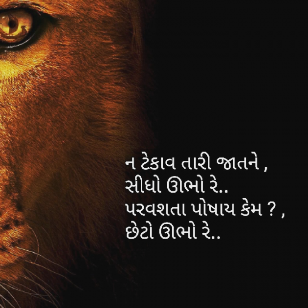 Gujarati Motivational by Yuvrajsinh jadeja : 111507752