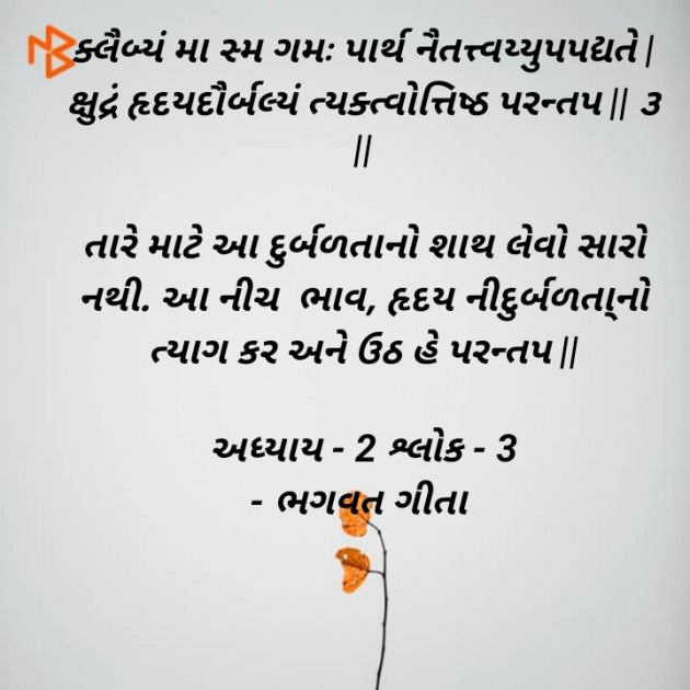 Gujarati Book-Review by Meet Suvagiya : 111507838